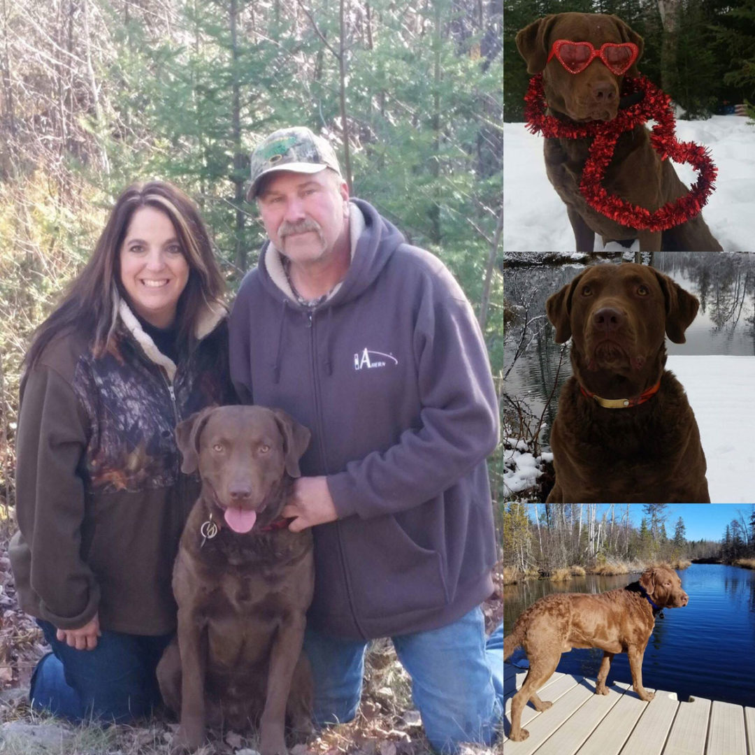 About Trout Creek Veterinary Center Hobart, WI